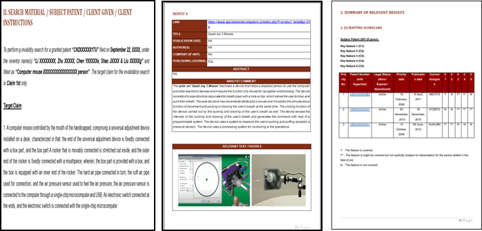 Validity Invalidity Search